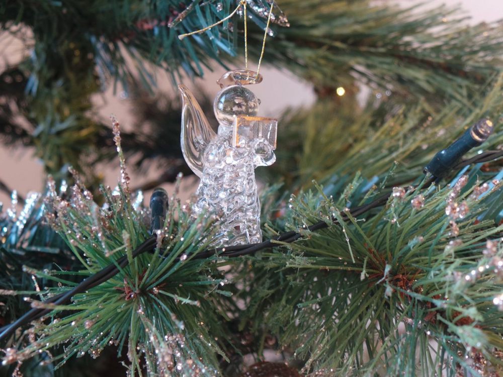 15321519_541036832767949_1320387897_o