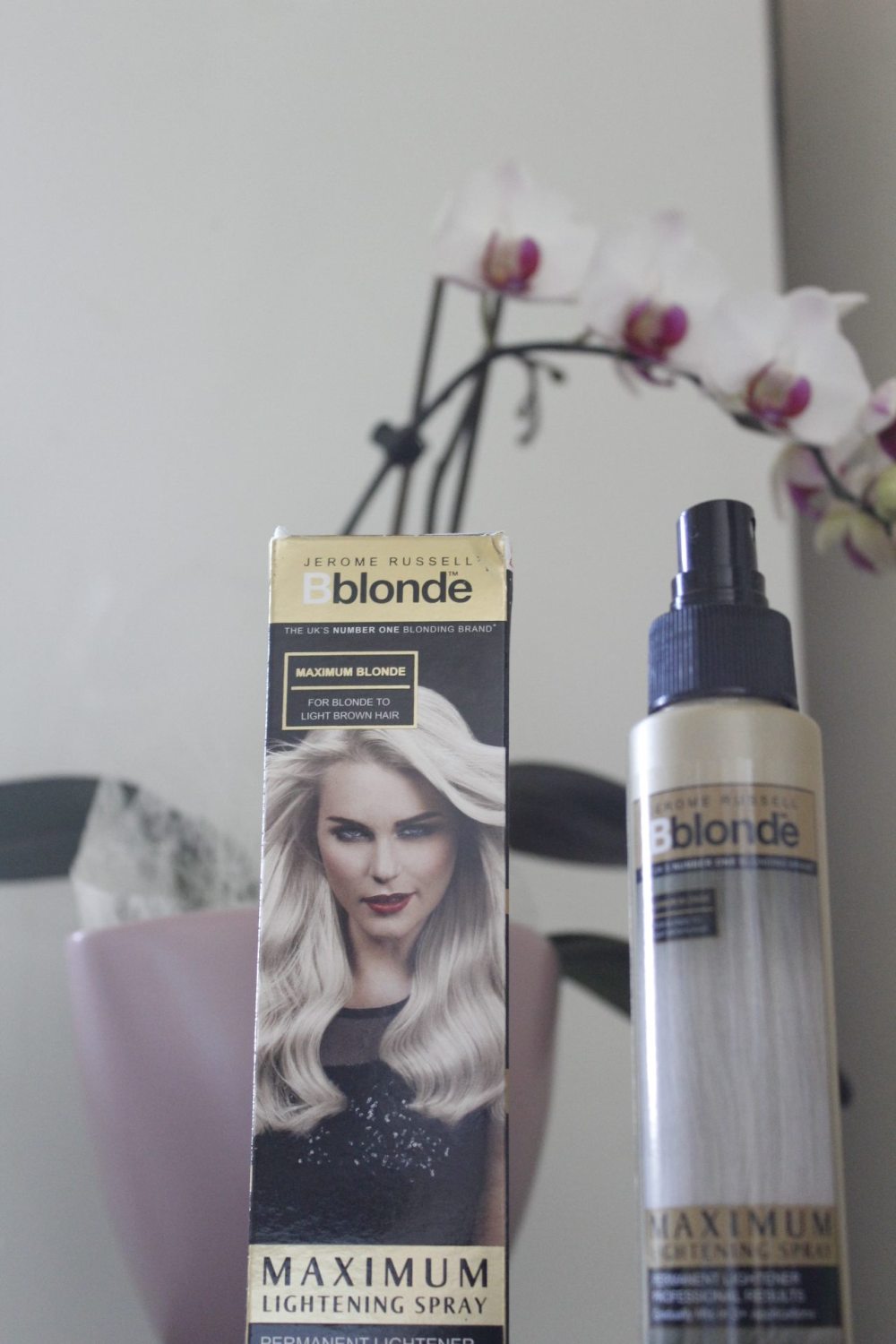 19243764_627727124098919_433133719_o